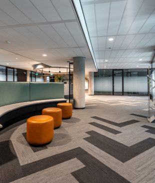 Commercial Area Remodeling & Light Construction